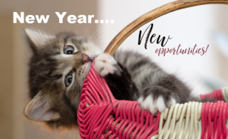 A New Year Equals New Opportunities to Be a Great Pet Owner!