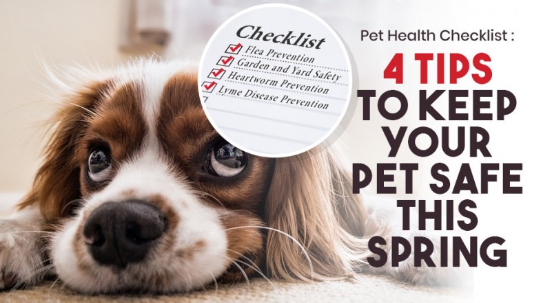 Pet Health Checklist: 4 Tips  to Keep Your Pet Safe This Spring