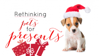 Rethinking Pets for Presents